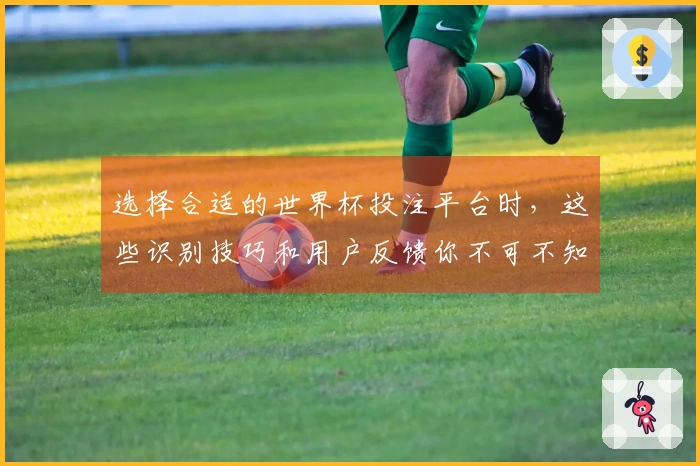 选择合适的世界杯投注平台时，这些识别技巧和用户反馈你不可不知