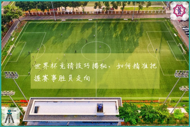 世界杯竞猜技巧揭秘，如何精准把握赛事胜负走向