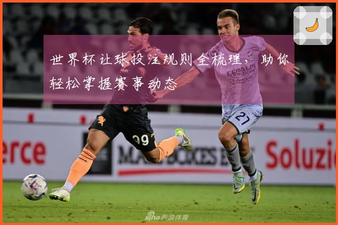 世界杯让球投注规则全梳理，助你轻松掌握赛事动态