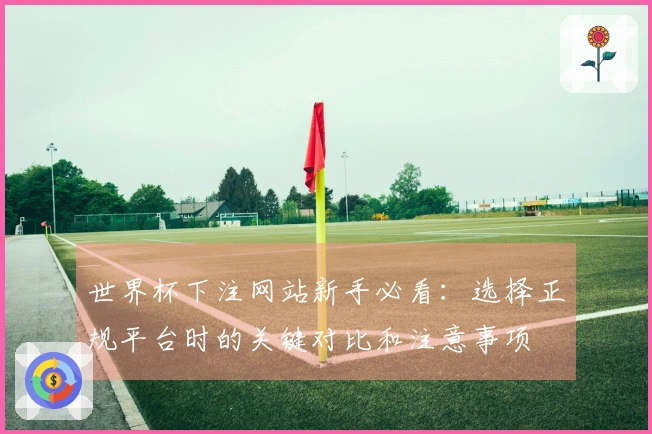 世界杯下注网站新手必看：选择正规平台时的关键对比和注意事项