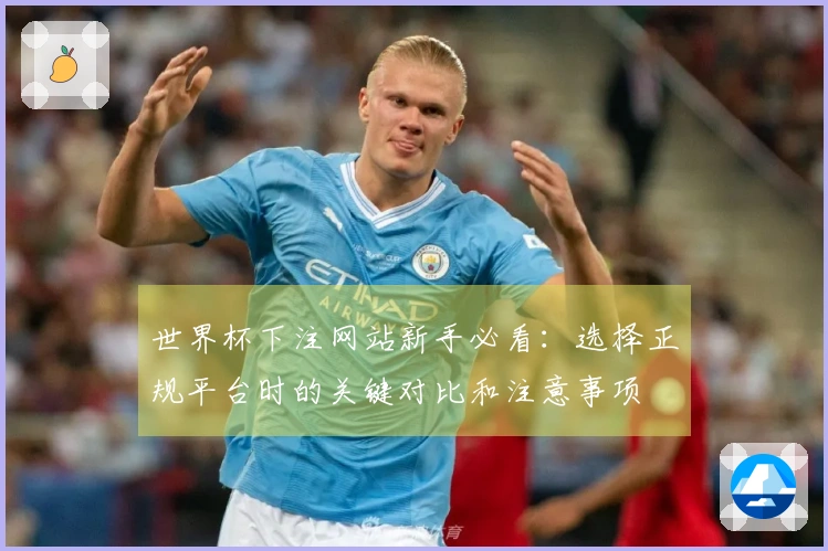 世界杯下注网站新手必看：选择正规平台时的关键对比和注意事项