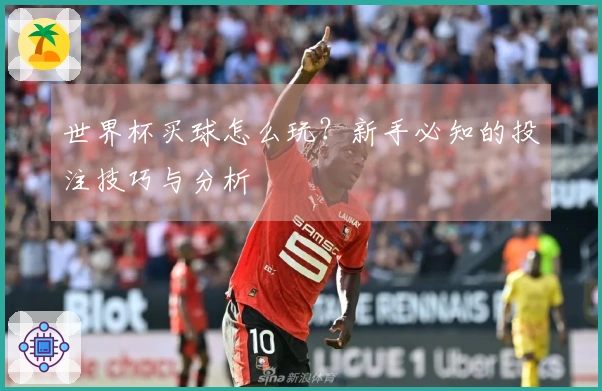 世界杯买球怎么玩？新手必知的投注技巧与分析