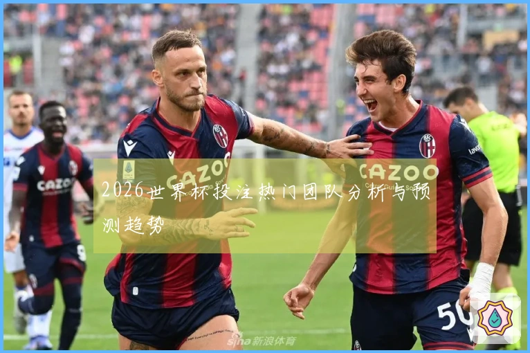 2026世界杯投注热门团队分析与预测趋势