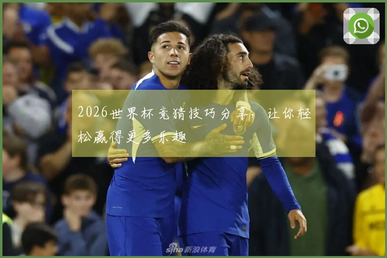 2026世界杯竞猜技巧分享，让你轻松赢得更多乐趣
