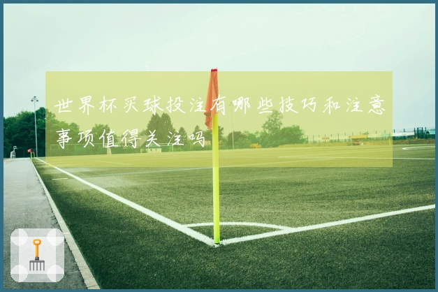 世界杯买球投注有哪些技巧和注意事项值得关注吗